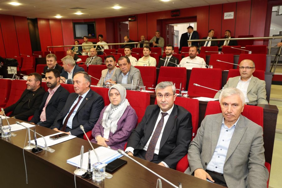 BAŞKAN BÜYÜKGÖZ MECLİSTE MÜJDE VERDİ