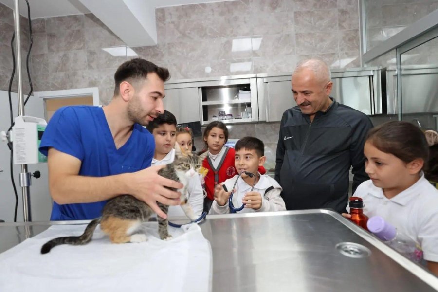 2023 Gebze’de Patili  Canların Yılı Oldu 