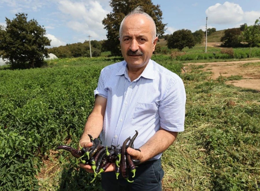 Başkan Büyükgöz kırsal mahallelerde