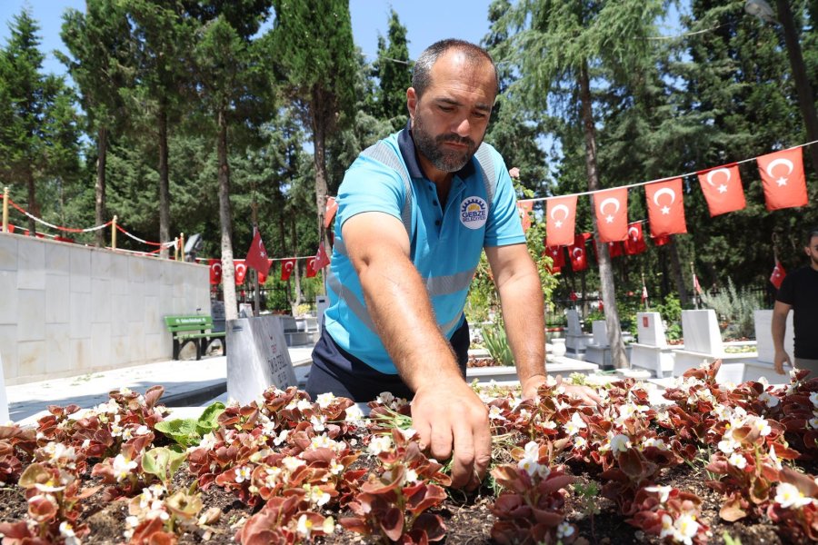 Mezarlık ve Şehitliklerde Kapsamlı Bakım Çalışması