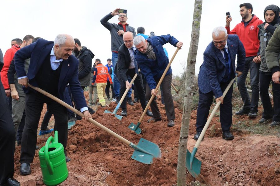 Milli Ağaçlandırma Günü;