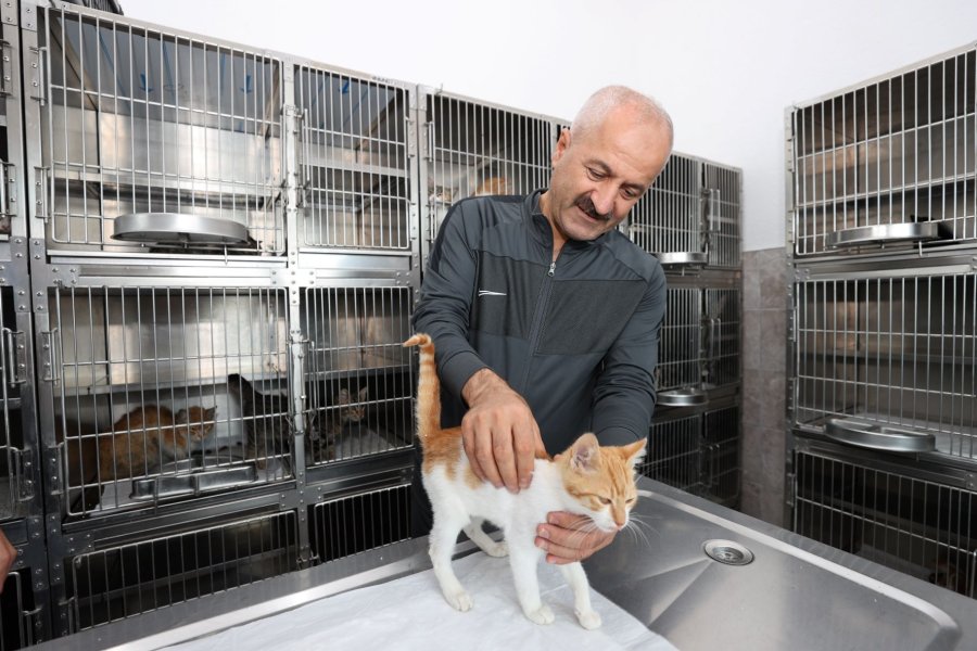 Gebze’de 2022 Yılı Hizmet Dolu Geçti