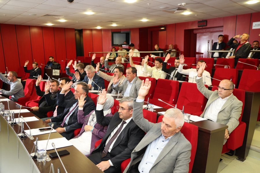 BAŞKAN BÜYÜKGÖZ MECLİSTE MÜJDE VERDİ