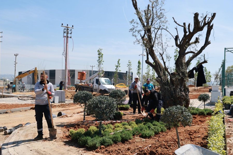 Başkan Büyükgöz Pelitli Bayraktepe Mesire Alanı’ndaki Çalışmaları Yerinde İnceledi
