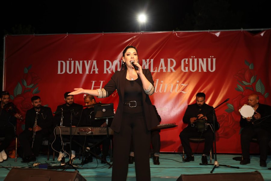 Romanlar Günü Gebze’de coşkuyla kutlandı