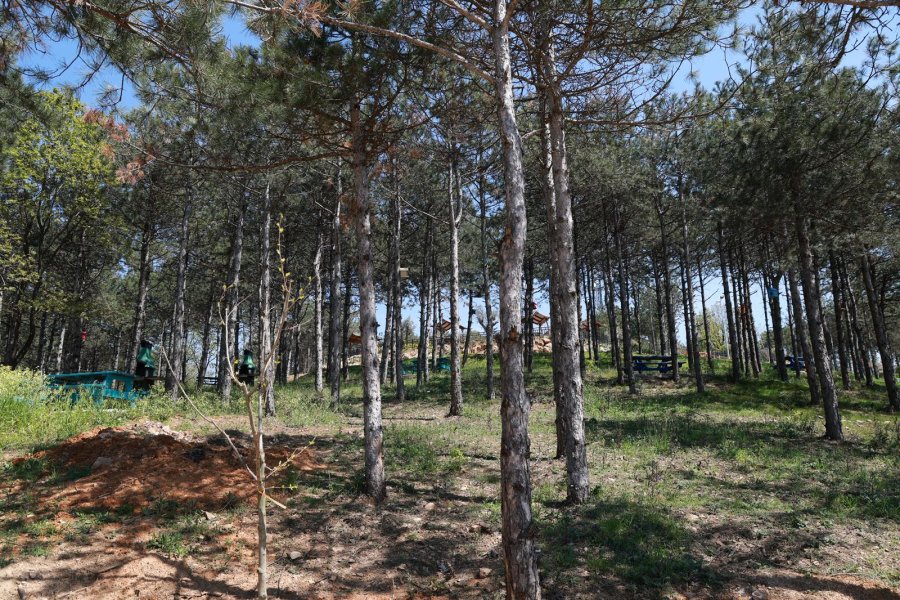 Başkan Büyükgöz Pelitli Bayraktepe Mesire Alanı’ndaki Çalışmaları Yerinde İnceledi