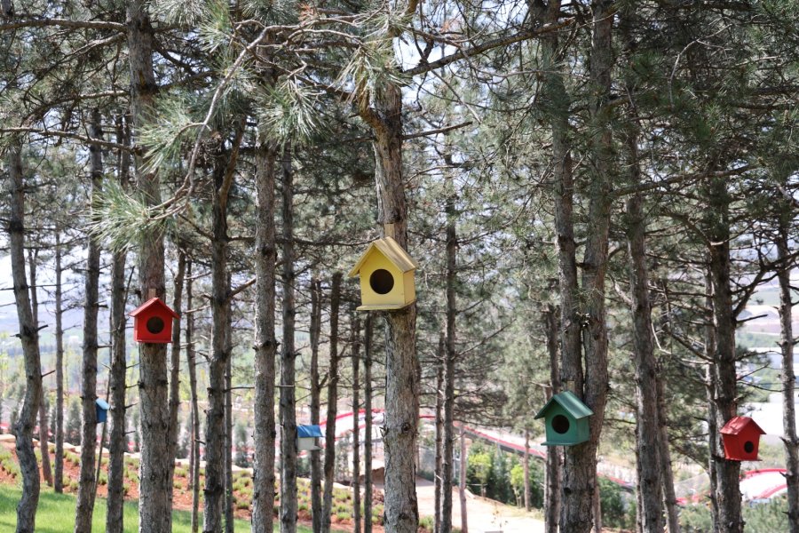 Gebze’nin Yeni Cazibe Merkezi Pelitli Bayraktepe Hizmete Açıldı