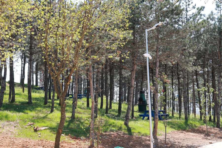 Başkan Büyükgöz Pelitli Bayraktepe Mesire Alanı’ndaki Çalışmaları Yerinde İnceledi