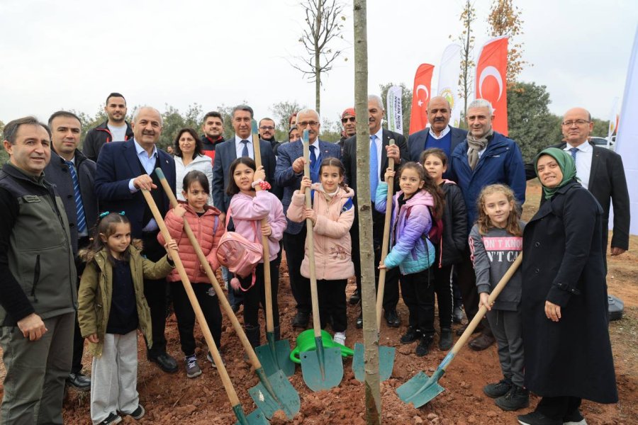 Milli Ağaçlandırma Günü;