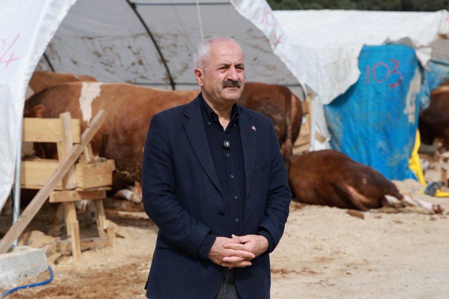 Başkan Büyükgöz Kurban Pazarı Hazırlıklarını Yerinde İnceledi