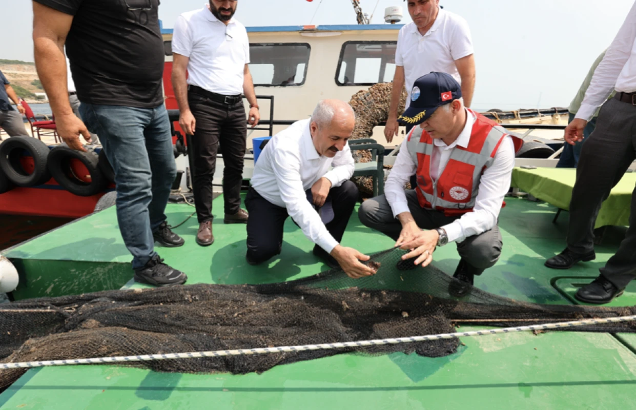 Hayalet Ağlardan Sıfır Atığa