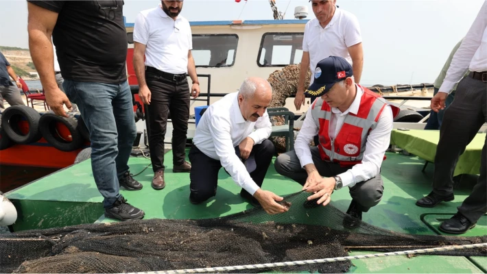 Hayalet Ağlardan Sıfır Atığa