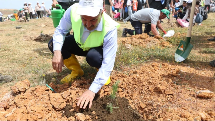 Ağaçlandırma ve Yeşil Alan Çalışmaları