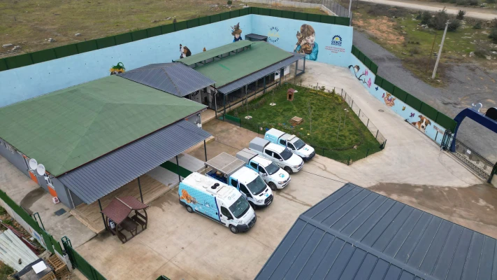 Sokak Hayvanları Bakım ve Rehabilitasyon Merkezi