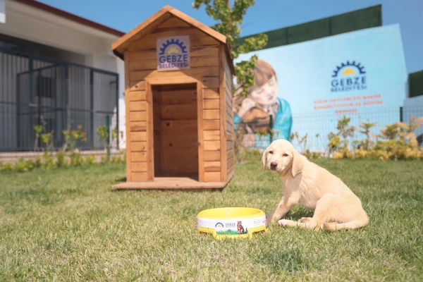 Sokak Hayvanları Bakım ve Rehabilitasyon Merkezi