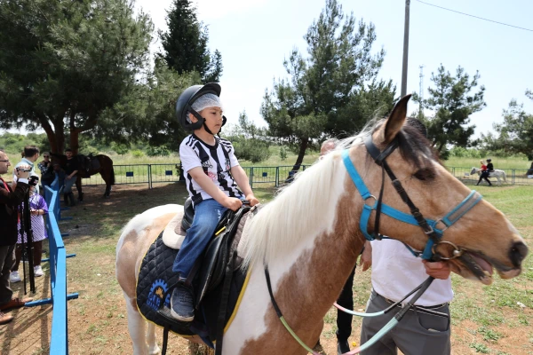 Enfest Spor ve Eğlence Festivali